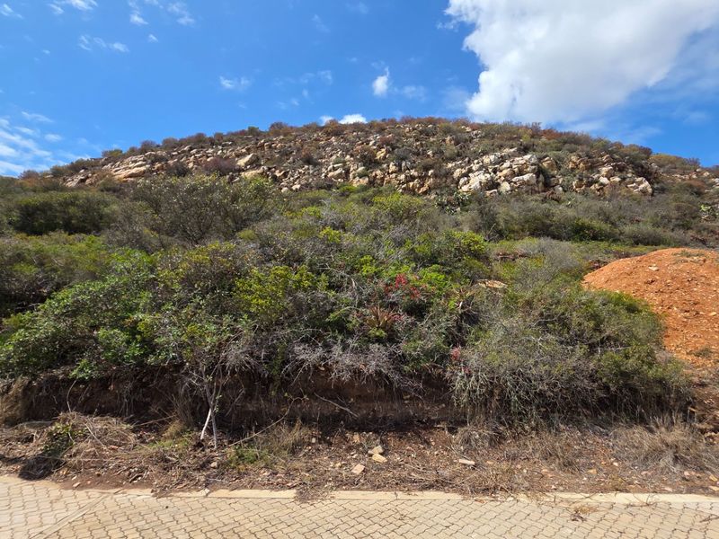 Vacant Land... Peaceful Estate... Located Between Mossel Bay and Hartenbos... - Photo 5