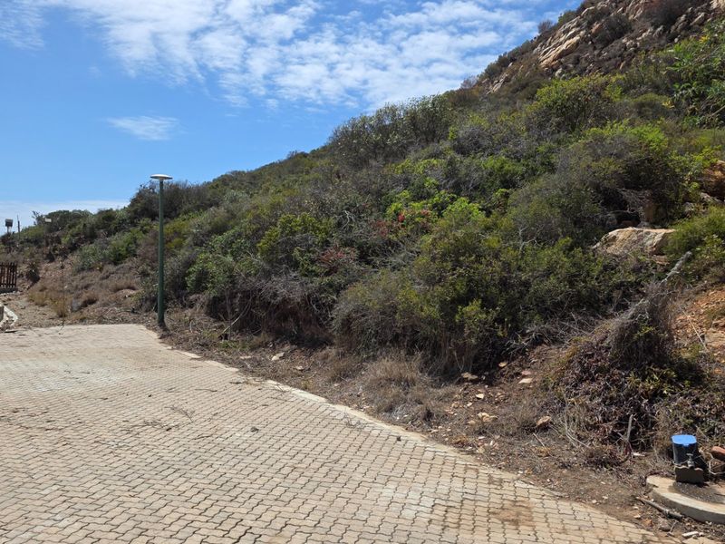 Vacant Land... Peaceful Estate... Located Between Mossel Bay and Hartenbos... - Photo 7
