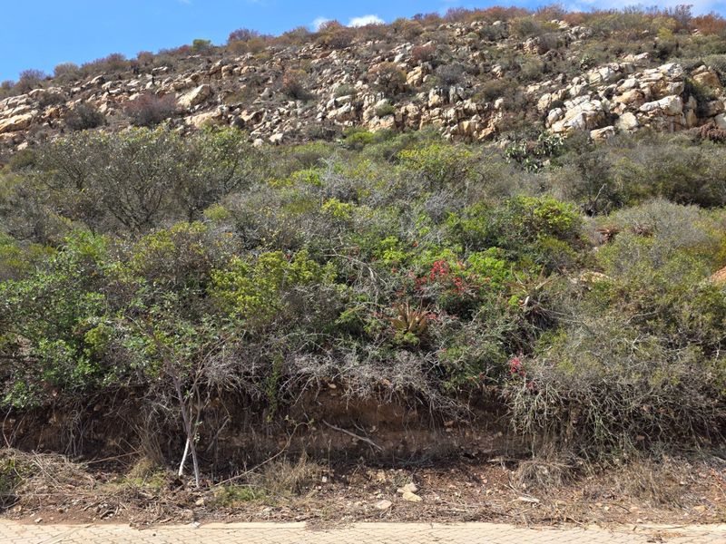 Vacant Land... Peaceful Estate... Located Between Mossel Bay and Hartenbos... - Photo 4