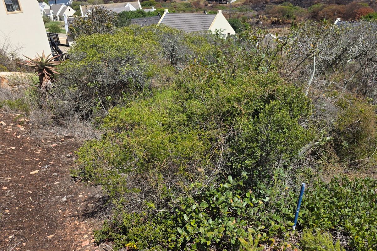 A view of a vacant residential plot featuring natural indigenous vegetation and a survey marker, situated within a developed residential area.