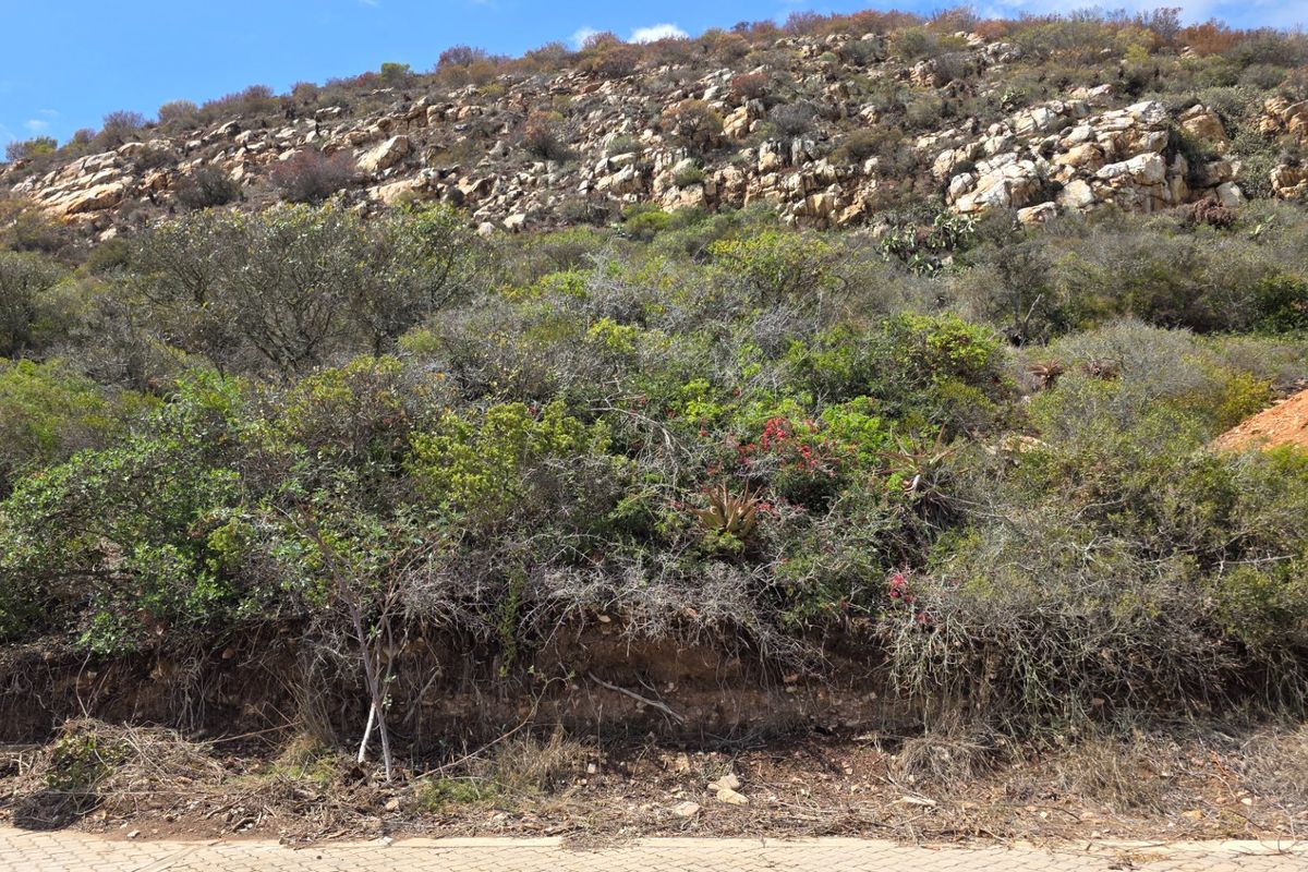 A view of a sloped residential plot featuring natural rock formations and established indigenous vegetation.