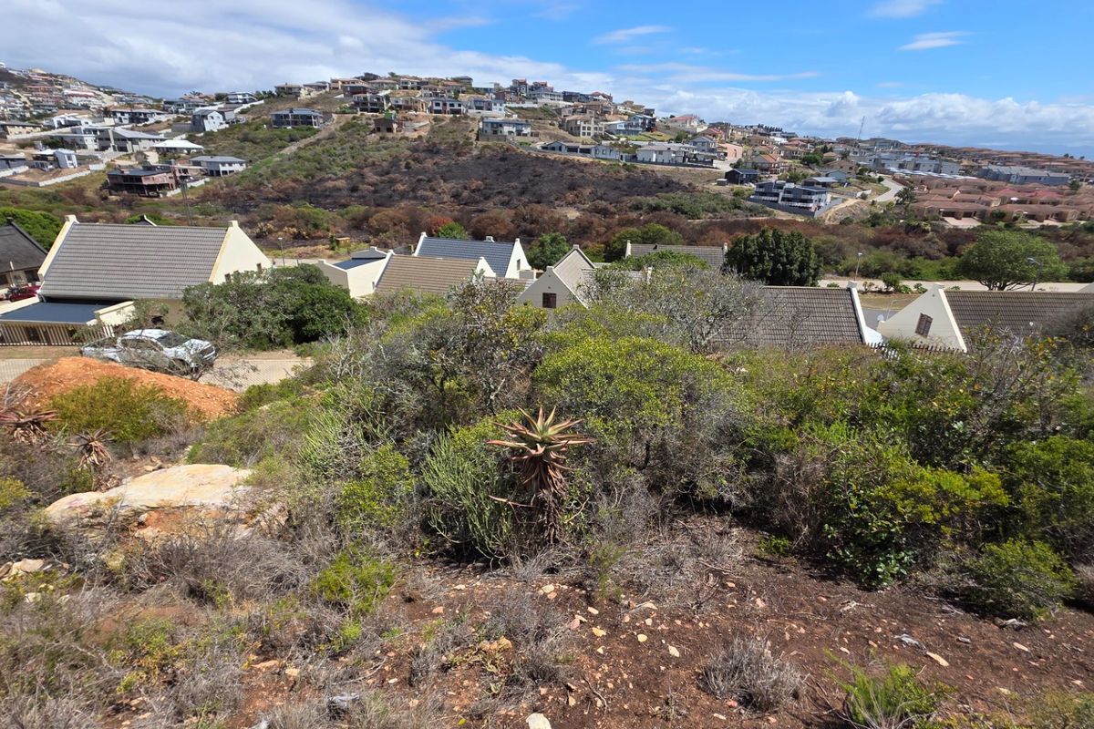 A wide-angle view overlooking a residential estate with natural vegetation and sloped terrain in the foreground.
