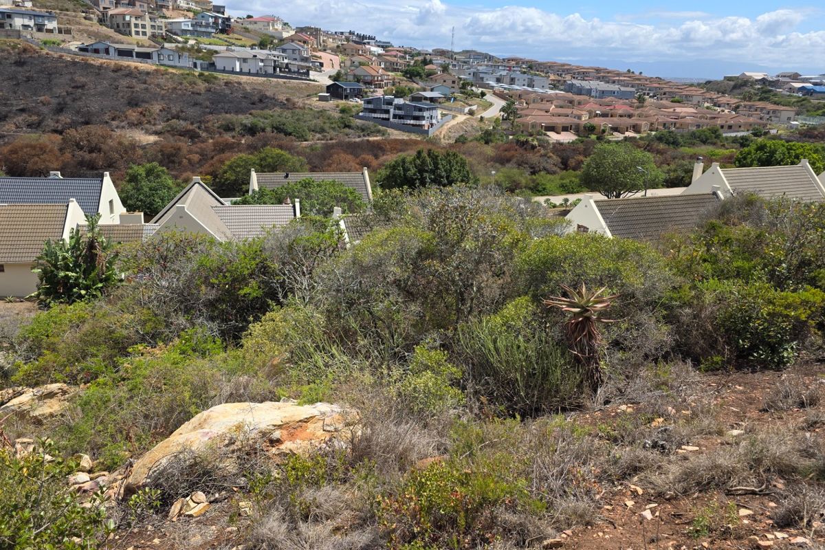 A view of the surrounding residential neighborhood and natural landscape from the vacant residential plot.