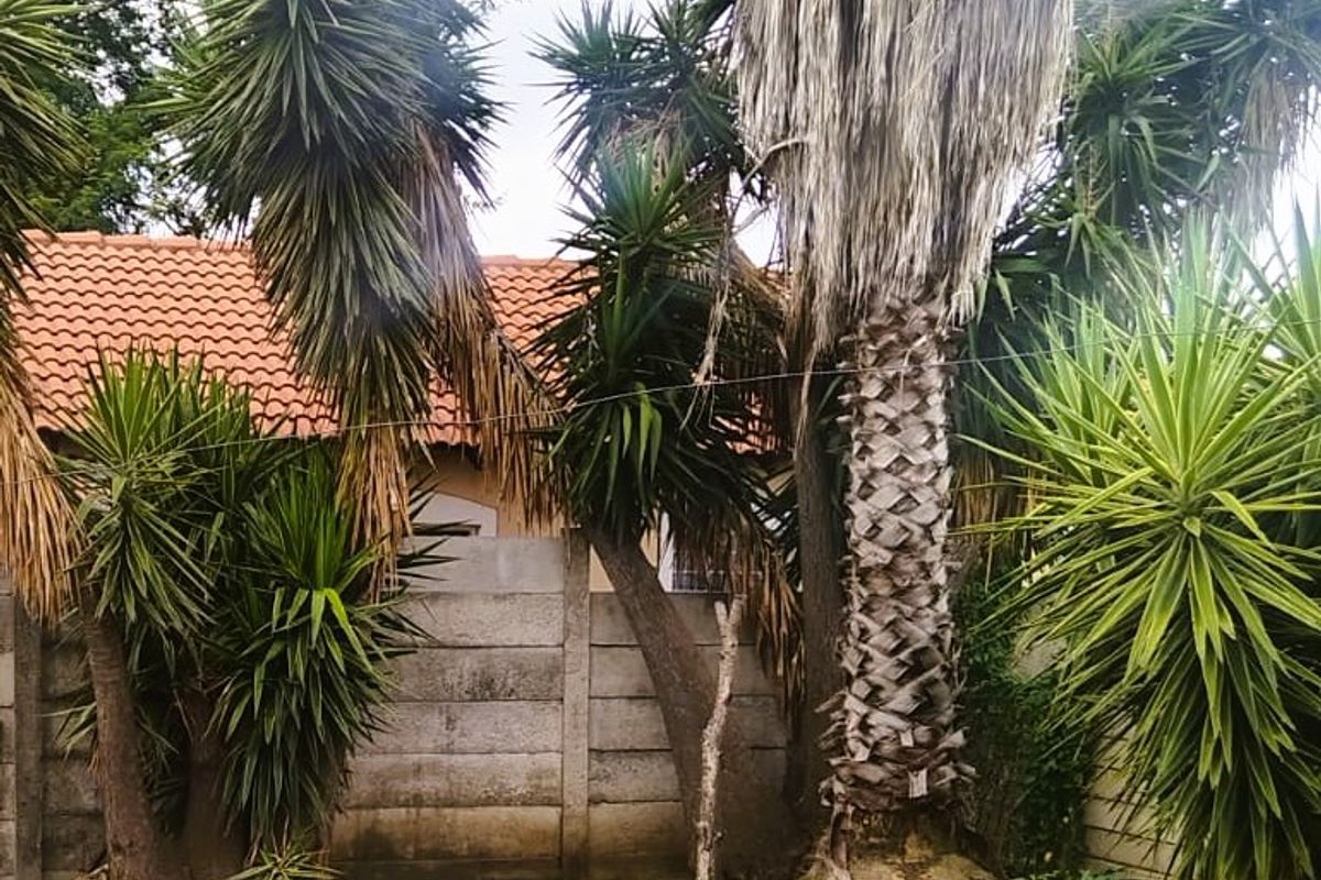 Comfort, Secutiry & Style, 3 Bedroom living in a Secure Estate - Photo 4