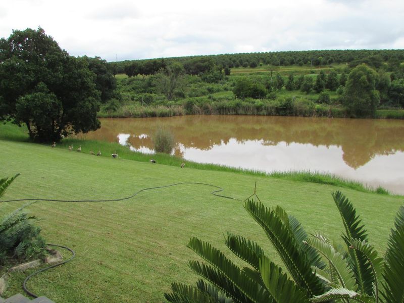 Exceptional farm-style residence in White River Ext 1 - Photo 10