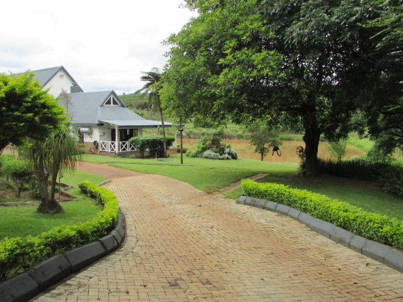 Exceptional farm-style residence in White River Ext 1 - Photo 8