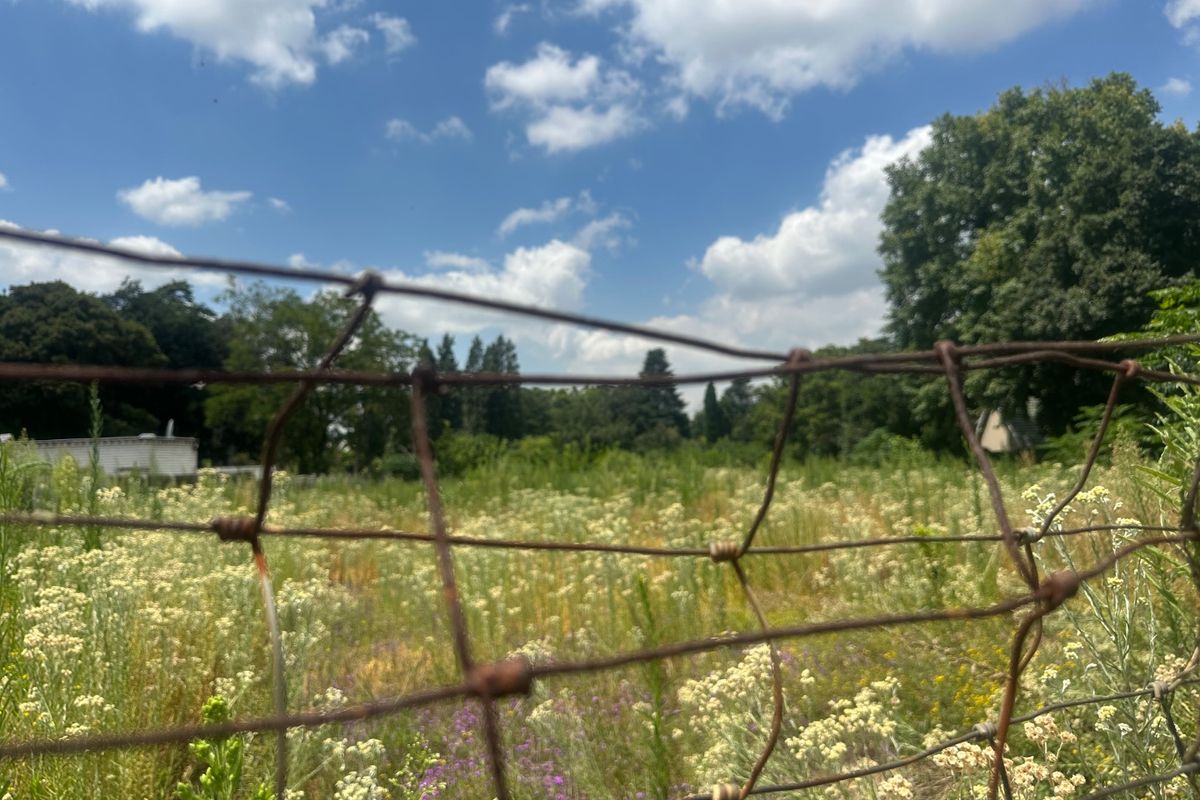 INVESTORS DREAM VACANT LAND - Photo 5