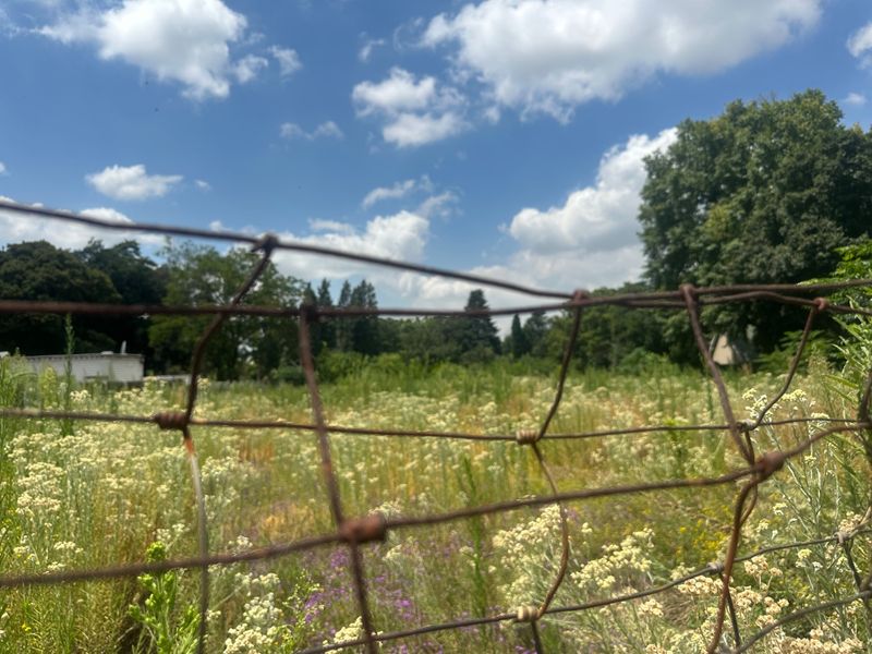 INVESTORS DREAM VACANT LAND - Photo 5