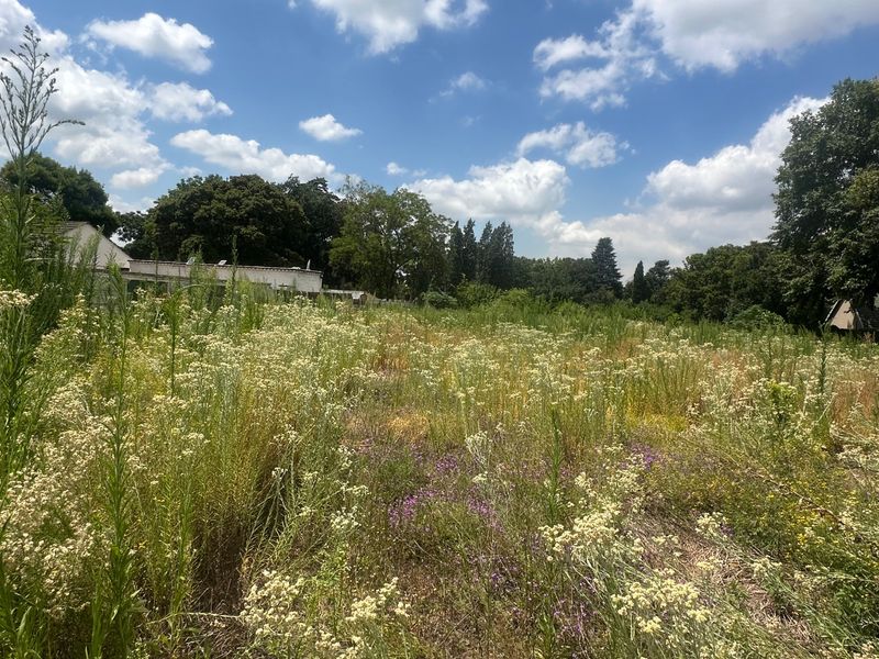 INVESTORS DREAM VACANT LAND - Photo 6