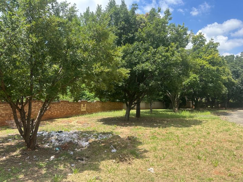 INVESTORS DREAM VACANT LAND - Photo 8