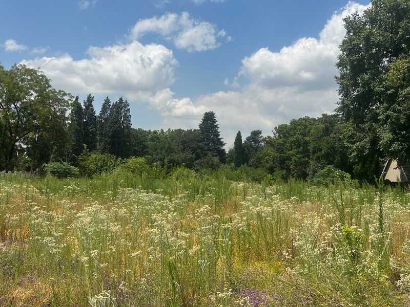 INVESTORS DREAM VACANT LAND - Photo 7