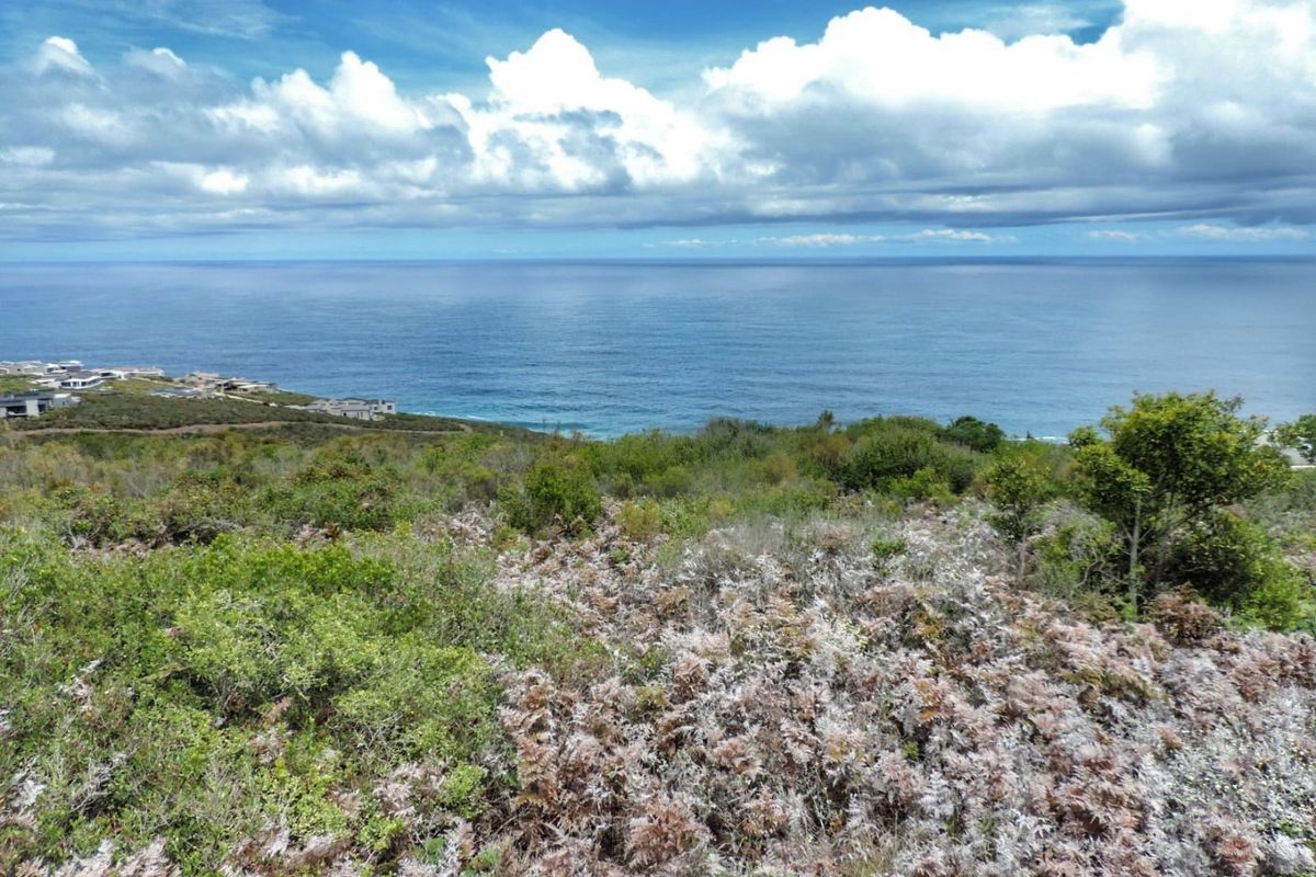 AN ADDRESS DEFINED BY VIEWS - PRIME VACANT STAND FOR SALE IN THE BRINK ECO ESTATE - Photo 4