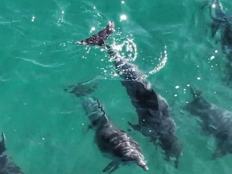 AN ADDRESS DEFINED BY VIEWS - PRIME VACANT STAND FOR SALE IN THE BRINK ECO ESTATE - Photo 9