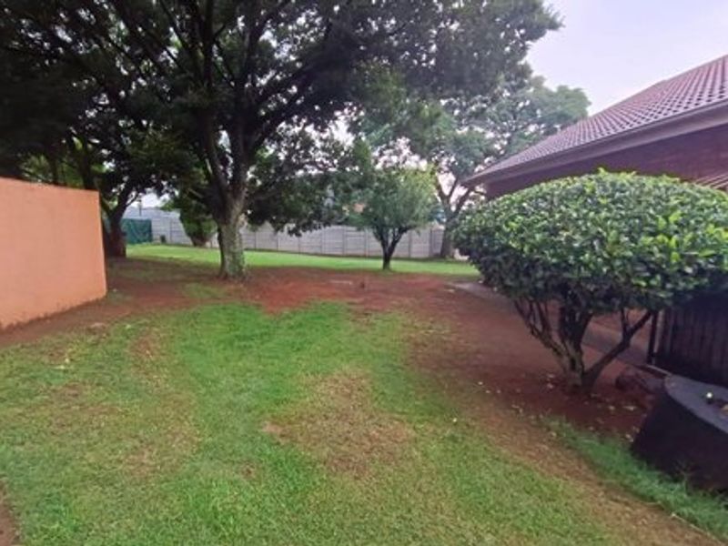 A spacious backyard area featuring mature trees, established lawn, and perimeter boundary walls, offering potential for landscaping and outdoor development.