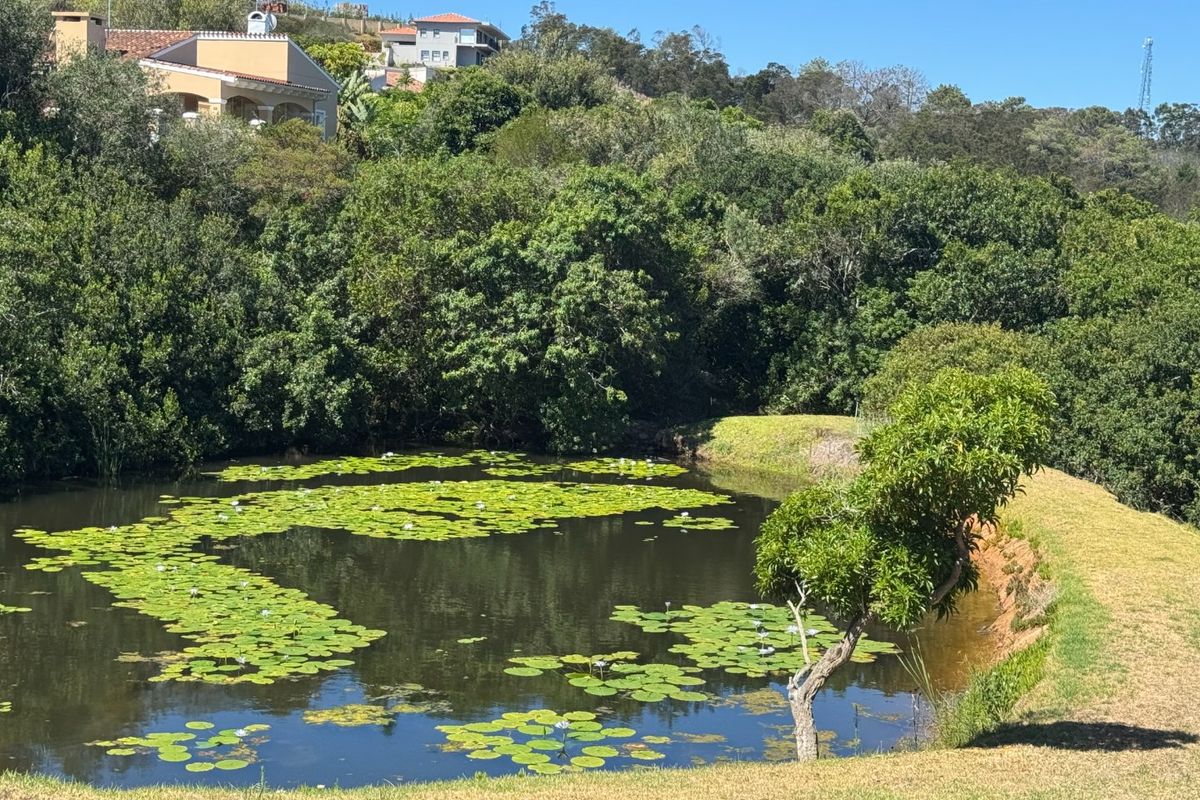 EXCEPTIONAL BUILD-READY STAND WITH SEA, VALLEY AND DAM VIEWS - Photo 2