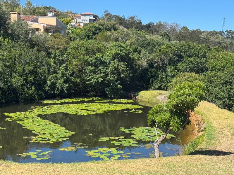 EXCEPTIONAL BUILD-READY STAND WITH SEA, VALLEY AND DAM VIEWS - Photo 2