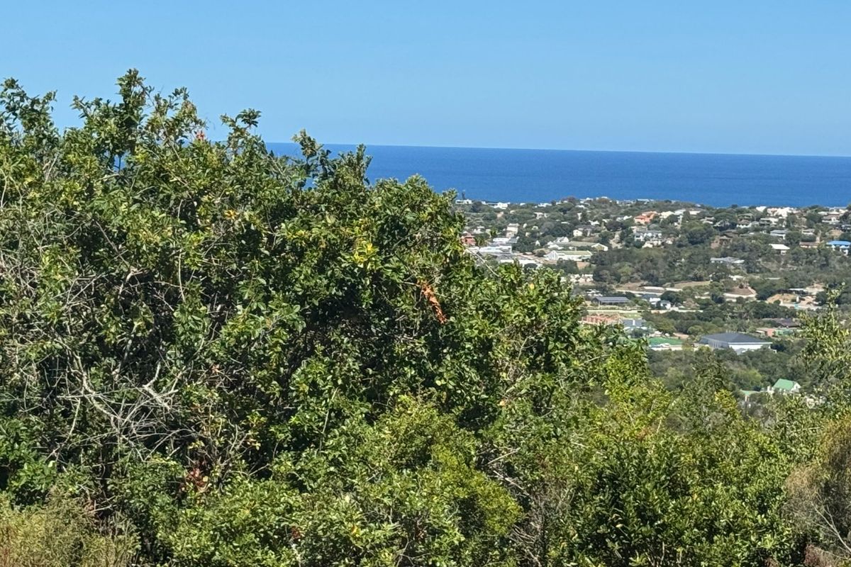 EXCEPTIONAL BUILD-READY STAND WITH SEA, VALLEY AND DAM VIEWS - Photo 5