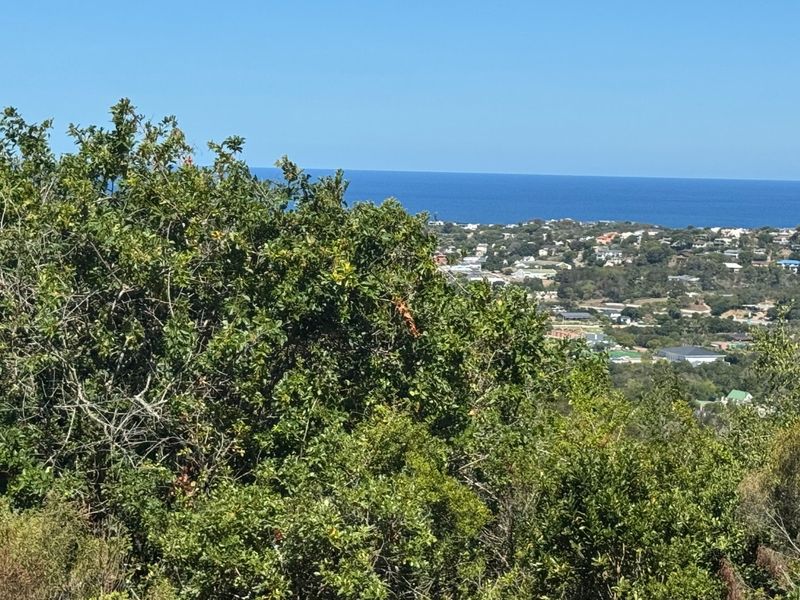 EXCEPTIONAL BUILD-READY STAND WITH SEA, VALLEY AND DAM VIEWS - Photo 5