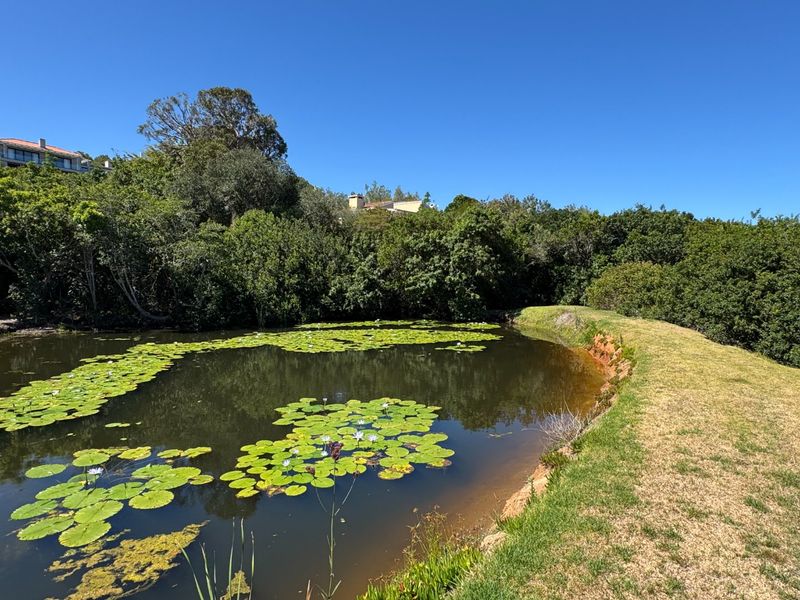 EXCEPTIONAL BUILD-READY STAND WITH SEA, VALLEY AND DAM VIEWS - Photo 8