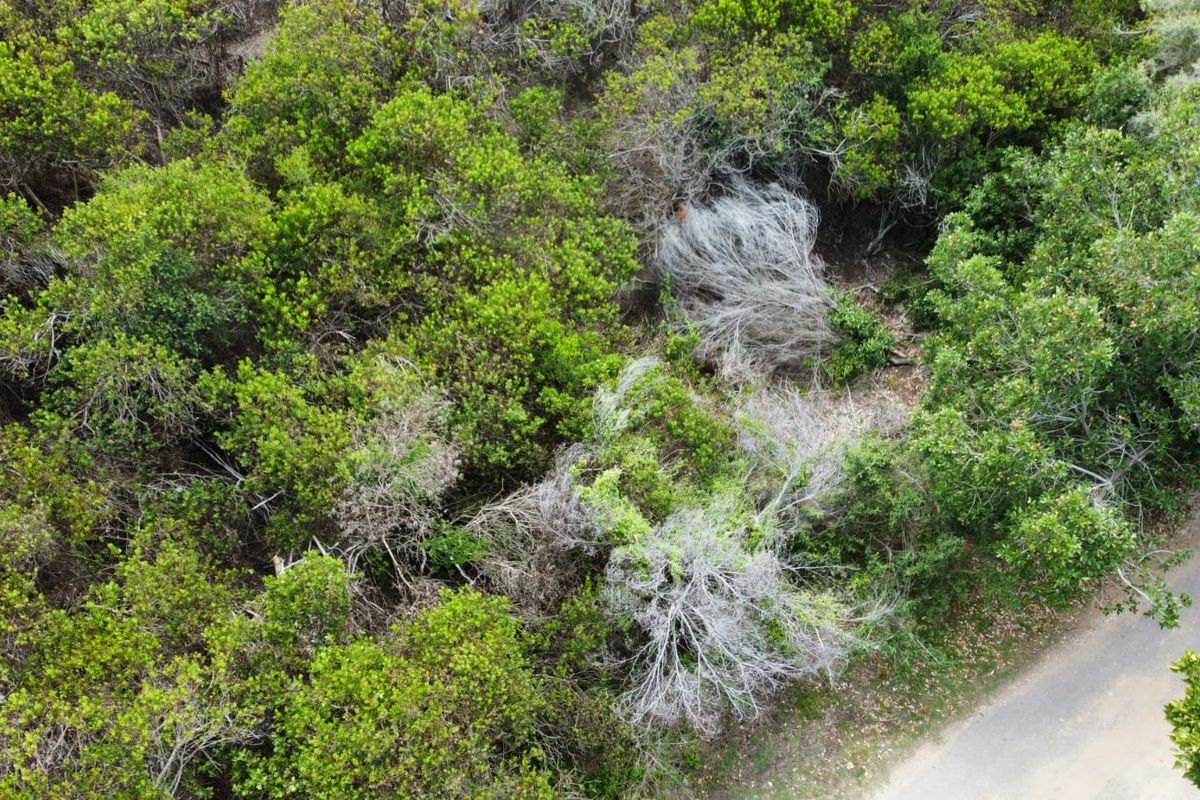 Prime Vacant Stand in Brenton On Sea – A Coastal Gem on the Garden Route - Photo 5