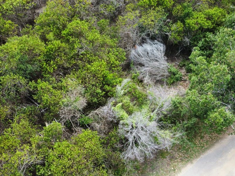 Prime Vacant Stand in Brenton On Sea – A Coastal Gem on the Garden Route - Photo 5