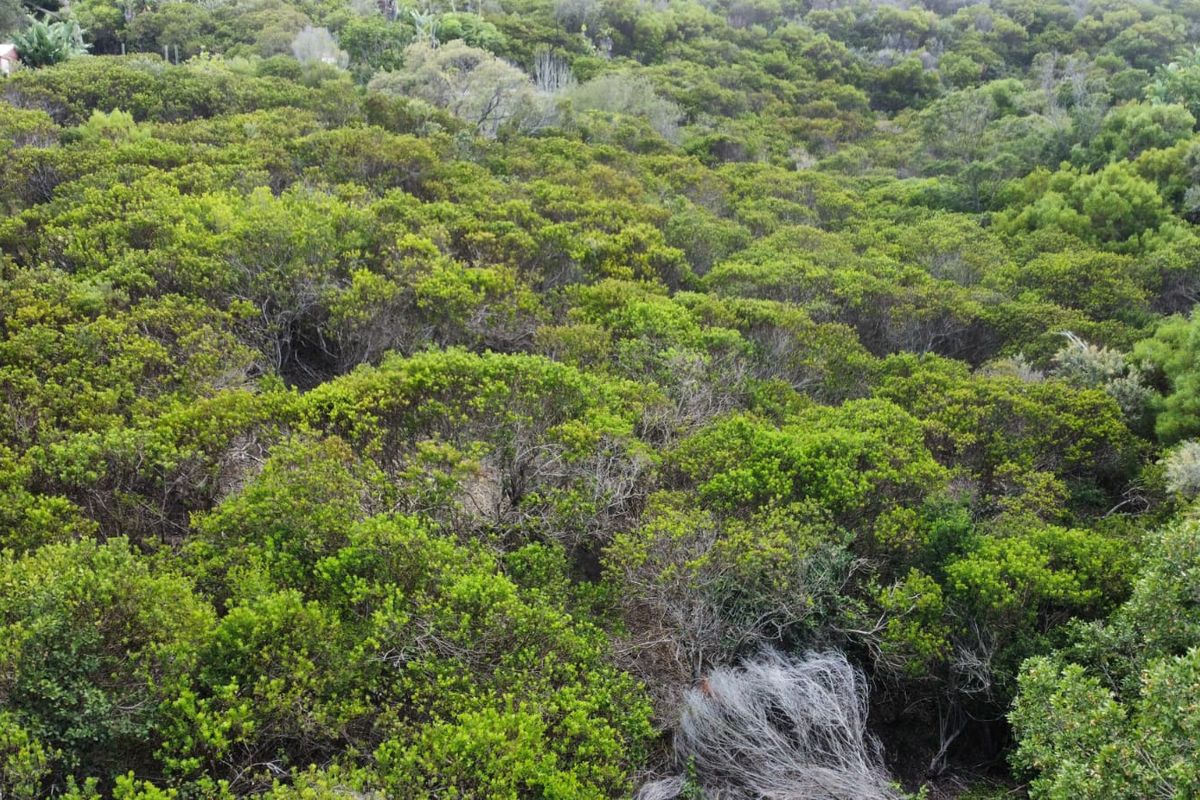 Prime Vacant Stand in Brenton On Sea – A Coastal Gem on the Garden Route - Photo 3