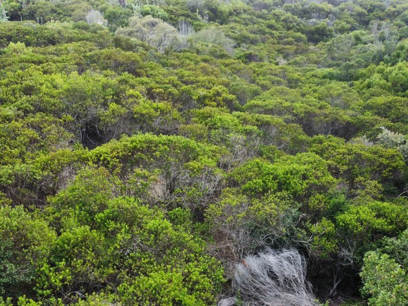 Prime Vacant Stand in Brenton On Sea – A Coastal Gem on the Garden Route - Photo 3