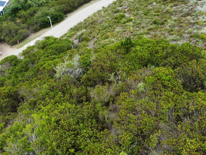 Prime Vacant Stand in Brenton On Sea – A Coastal Gem on the Garden Route - Photo 9