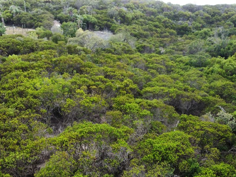 Prime Vacant Stand in Brenton On Sea – A Coastal Gem on the Garden Route - Photo 8