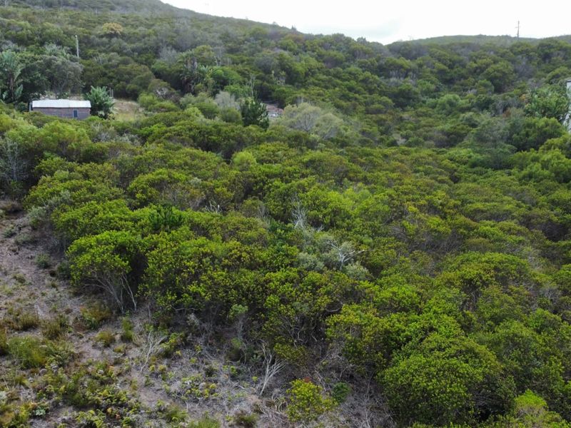 Prime Vacant Stand in Brenton On Sea – A Coastal Gem on the Garden Route - Photo 7