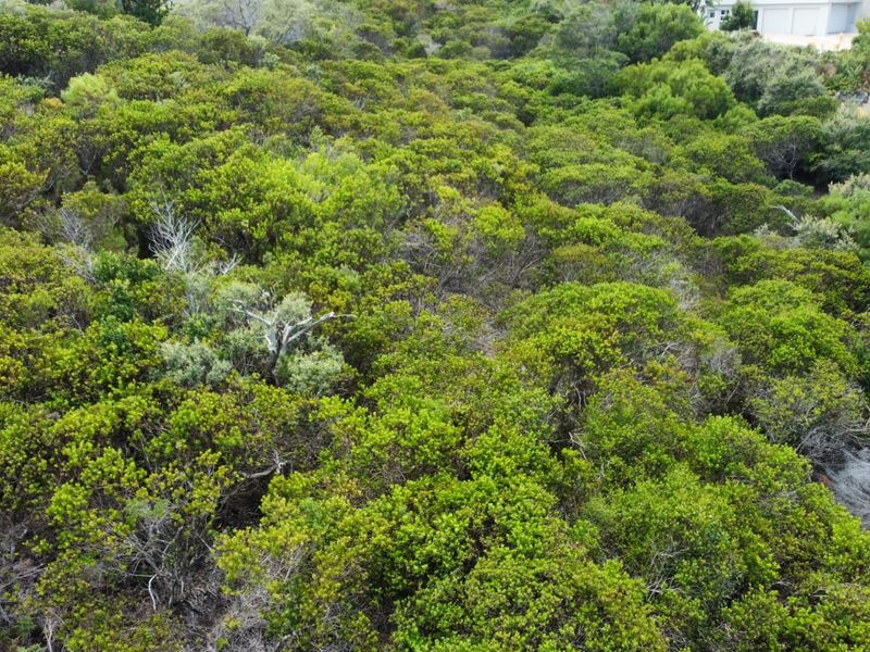 Prime Vacant Stand in Brenton On Sea – A Coastal Gem on the Garden Route - Photo 6