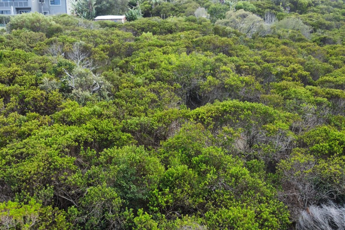 Prime Vacant Stand in Brenton On Sea – A Coastal Gem on the Garden Route - Photo 4