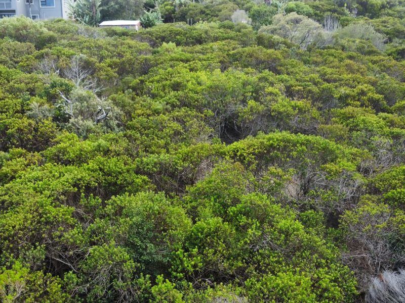 Prime Vacant Stand in Brenton On Sea – A Coastal Gem on the Garden Route - Photo 4