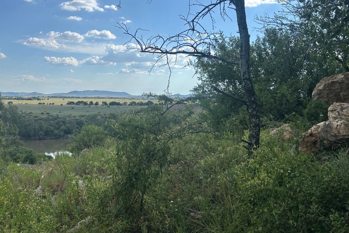 0 Bed Vacant Land in Vaaloewer for Sale - Photo 5