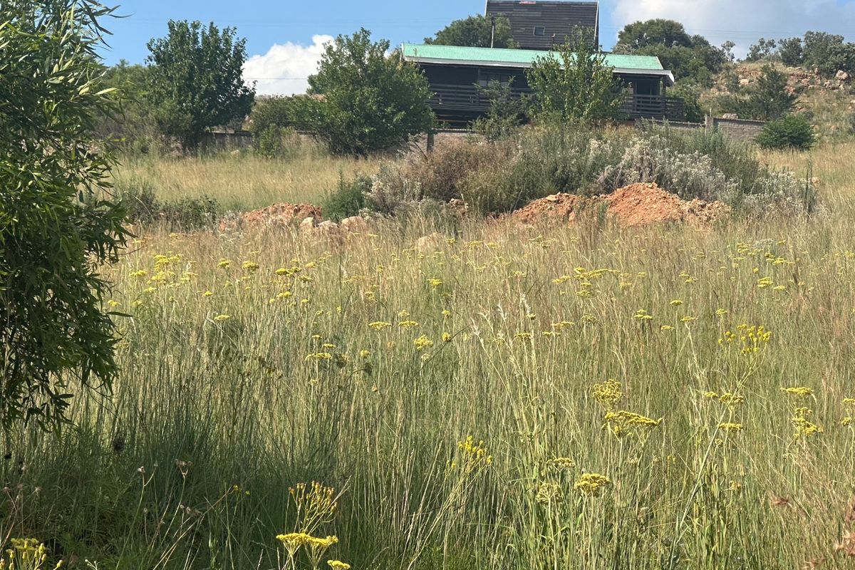 0 Bed Vacant Land in Vaaloewer for Sale - Photo 5