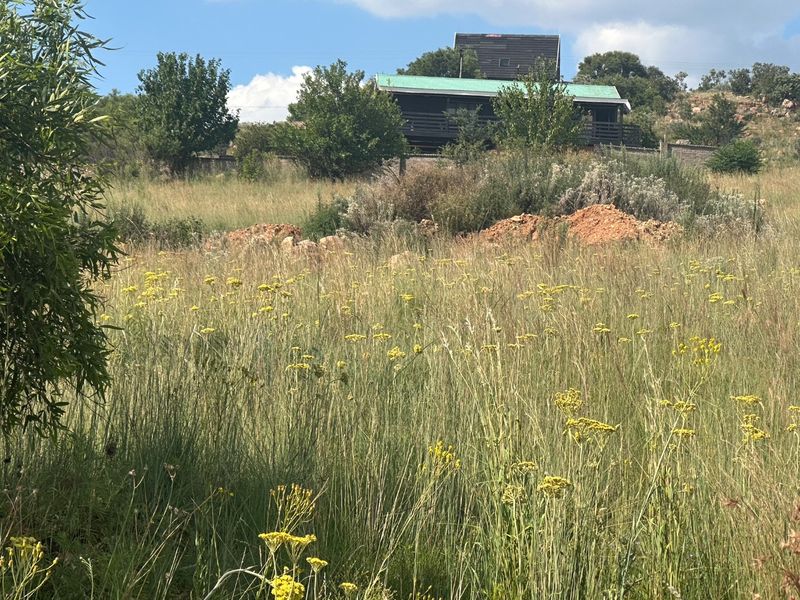 0 Bed Vacant Land in Vaaloewer for Sale - Photo 5