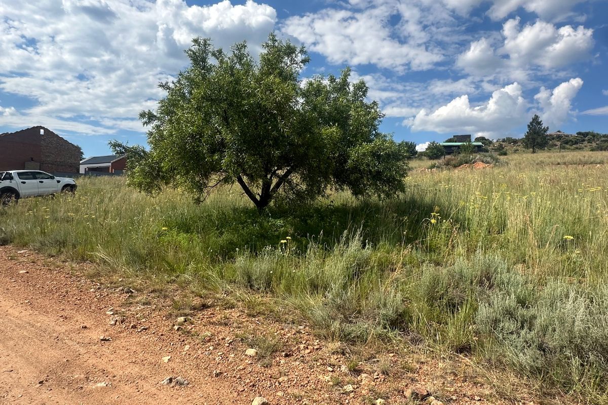 0 Bed Vacant Land in Vaaloewer for Sale - Photo 4