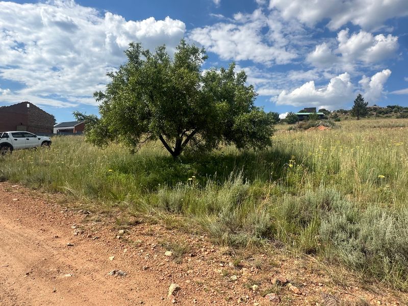 0 Bed Vacant Land in Vaaloewer for Sale - Photo 4