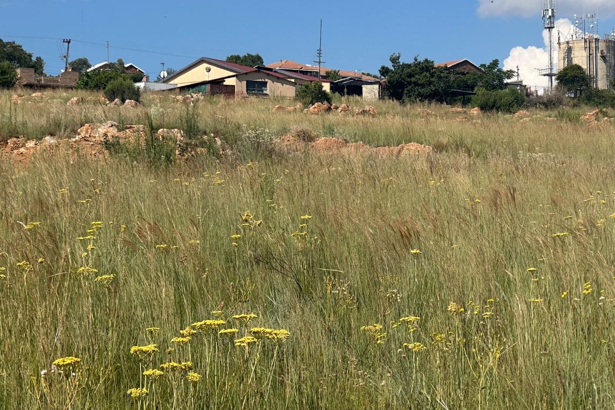 0 Bed Vacant Land in Vaaloewer for Sale - Photo 2