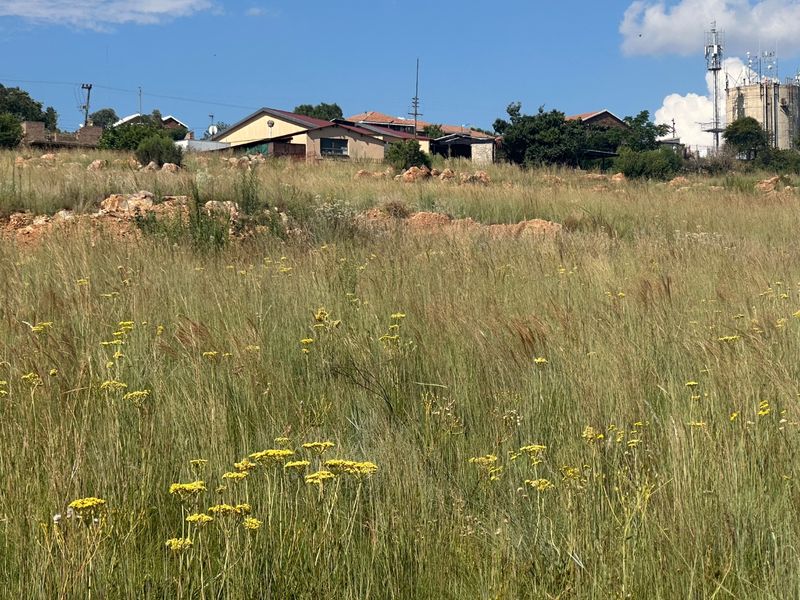 0 Bed Vacant Land in Vaaloewer for Sale - Photo 2