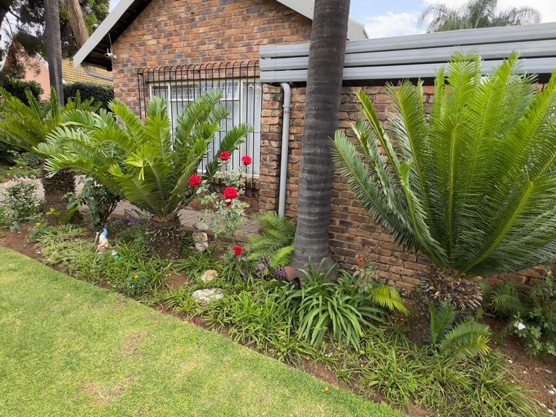 4 Bedroom 2 Bathroom House Dorandia + Big Flatlet - Photo 7