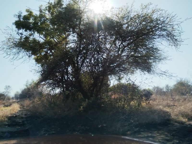 INDUSTRIAL SITE IN UNIT 15 GA-RANKUWA - Photo 2