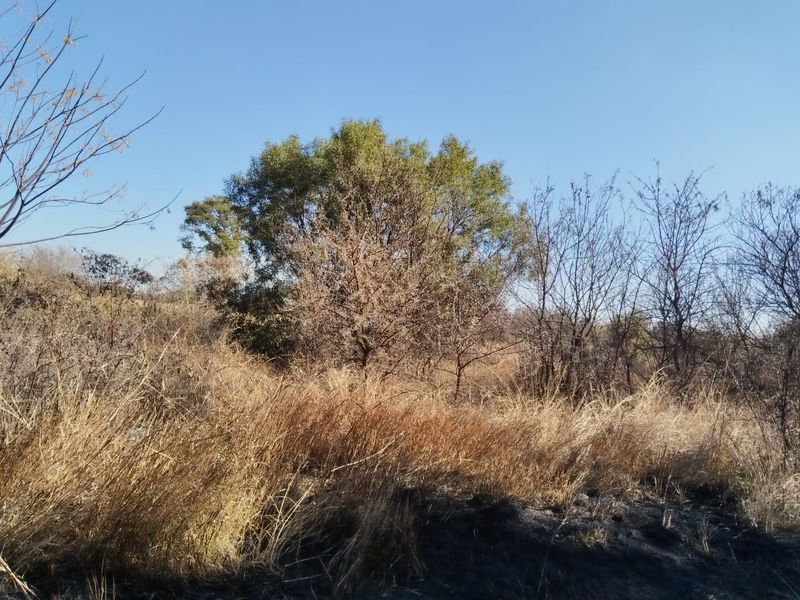 INDUSTRIAL SITE IN UNIT 15 GA-RANKUWA - Photo 6