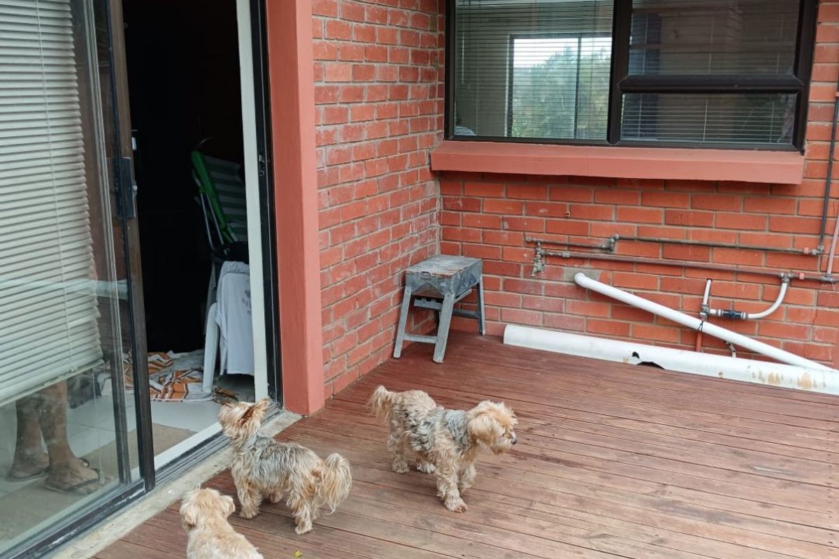 Available Immediately !! Kayser Beach Coastal Living at Its Finest  - Photo 4