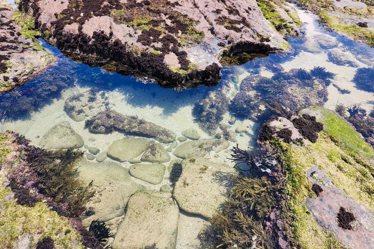 Available Immediately !! Kayser Beach Coastal Living at Its Finest  - Photo 3