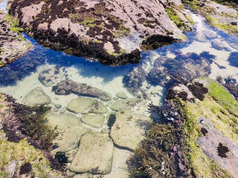 Available Immediately !! Kayser Beach Coastal Living at Its Finest  - Photo 3