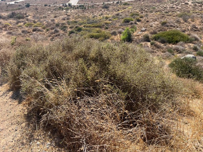 VACANT LAND FOR SALE IN KAPTEINS KLOOF ST HELENA BAY - Photo 3