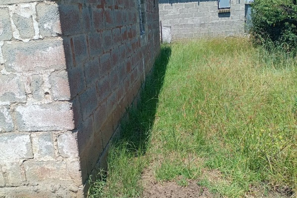 House For Sale E section  - Photo 5