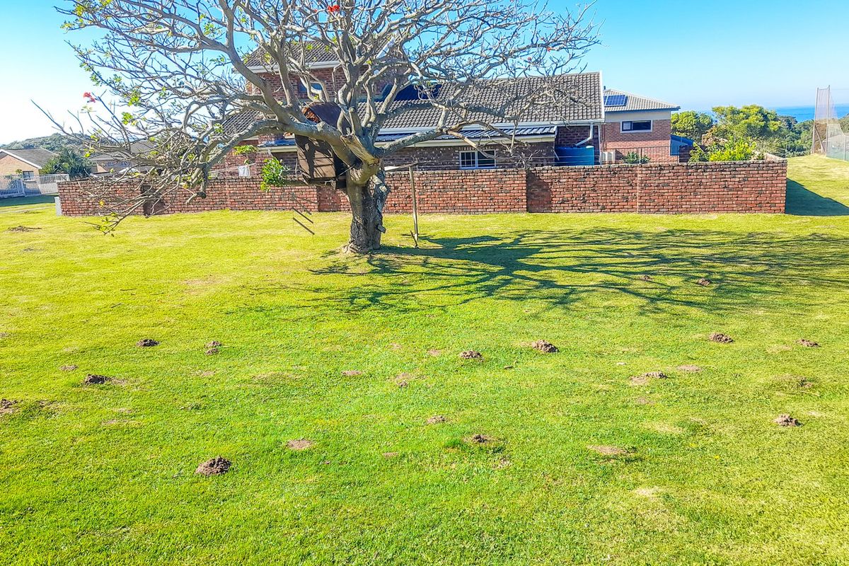 A spacious residential garden featuring a well-established tree and a brick boundary wall, offering a clear view of the neighboring property.