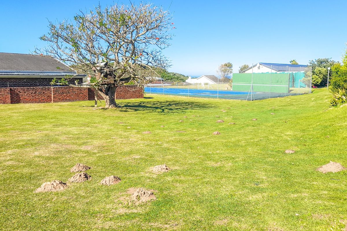 A spacious residential garden area featuring a lawn, mature tree, brick boundary wall, and access to a communal tennis court.